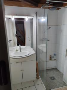 a bathroom with a sink and a shower at Ti Palissandre in LʼEntre-Deux