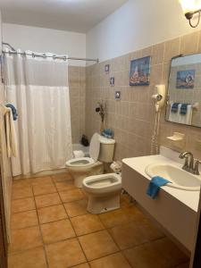 un bagno con due wc, un lavandino e una doccia di Paradise Island a Isabela