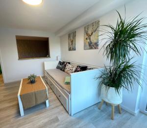 ein Wohnzimmer mit einem Sofa und zwei Topfpflanzen in der Unterkunft FeWo “ruhige Momente” in Waldkirch in Waldkirch