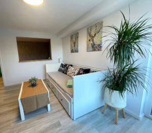 a living room with a couch and two potted plants at FeWo “ruhige Momente” in Waldkirch in Waldkirch