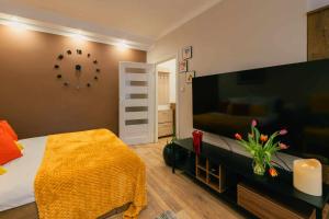 Televízia a/alebo spoločenská miestnosť v ubytovaní Apartament Pod 13