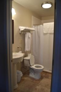 een badkamer met een toilet en een wastafel bij Allen Street Inn in Tombstone