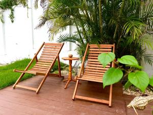 VILA LITORANEA Hotel外面的花园