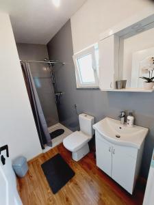 een badkamer met een toilet, een wastafel en een douche bij Unatime.Krupa in Bosanska Krupa