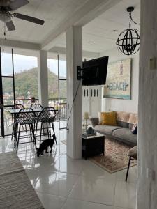 a cat walking in a living room with a couch at Casa Estrella in Puerto Vallarta