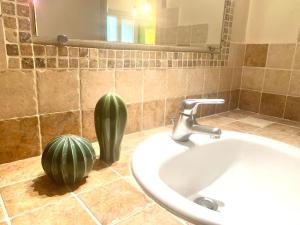 La salle de bains est pourvue d'un lavabo et d'un cactus sur le comptoir. dans l'établissement Studio de la gare, à Aix-en-Provence