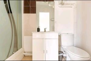 een badkamer met een toilet, een wastafel en een spiegel bij Le Gandhy 2 in Le Blanc-Mesnil