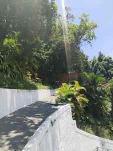 旅舍周边自然景观