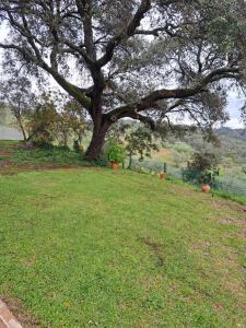 A garden outside Casa rural Villa Manuela
