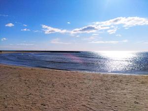 Příroda nedaleko apartmánu + 24 fotografií