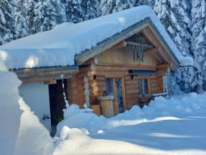 Ferienhaus - Chalet - Lechtraum during the winter