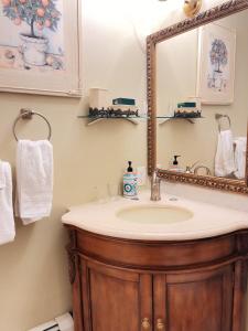 W łazience znajduje się umywalka i lustro. w obiekcie Grape Suite-heart of oldtown w mieście Niagara-on-the-Lake