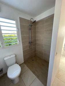 a bathroom with a toilet and a shower at Tropic Valley Lodge in Vieux-Habitants