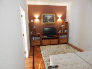 - un salon avec une télévision et un canapé dans l'établissement Refúgio da Serra, à Petrópolis