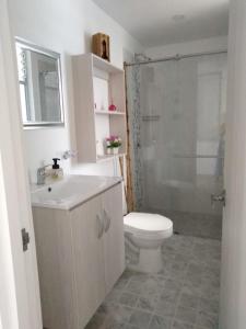 a bathroom with a toilet and a sink and a shower at Apartamento 3 hab 2 baños in Santa Rosa de Cabal