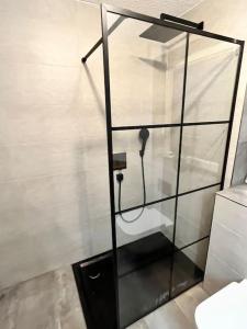 a glass shower stall with a phone in a bathroom at Auszeit am Berg in Lenzkirch +9 photos