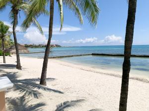 a beach with palm trees and the ocean at Beachfront Breathtaking Views Puerto Aventuras in Puerto Aventuras +56 photos