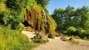 a garden with a waterfall and rocks and trees at Ferienwohnung am Wasserfall in Nohn