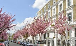 a row of trees with pink flowers in front of a building at London Chelsea 2 People Balcony Best Location in London