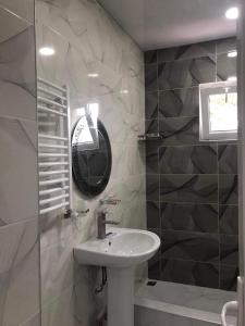 ボルジョミにあるN&G Apartmentの洗面台、シャワー、鏡を備えたバスルーム