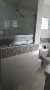 bagno con doccia, lavandino e servizi igienici di VILLA BOCA MAR a Boca Chica