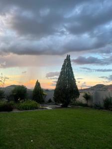 un grupo de árboles en un patio con una puesta de sol en Cosy Garden, en Maseru