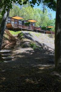 a set of stairs leading up to a building at Cabaña Habitainer BordeRio 3 in Concepción