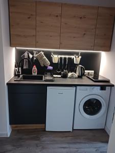 a kitchen with a sink and a washing machine at Apartamenty Marco 3-Bis- Przy Dworcu-Stare Miasto-Super Wi Fi in Krakow