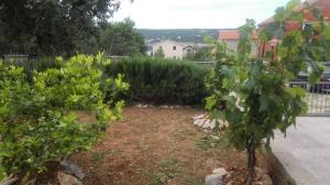 Zahrada ubytování Apartmani Ivan