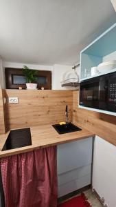 a kitchen with a counter with a sink and a microwave at Napoca Ultracentral Loft in Cluj-Napoca