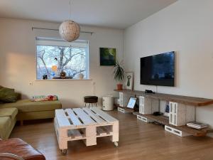 a living room with a couch and a tv at Great apartment in Akureyri in Akureyri