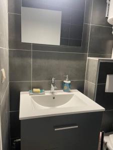 bagno con lavandino bianco e specchio di Appartement Duplex T1 ad Albertville