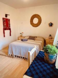 um quarto com uma cama e um vaso de plantas em Casa Matilda San Cristobal em San Cristóbal de Las Casas