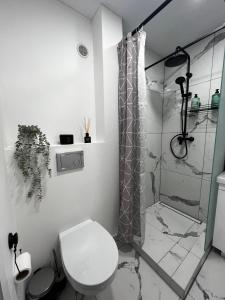 ein Bad mit einem WC und einer Dusche in der Unterkunft Hygge Apartments in Druskininkai