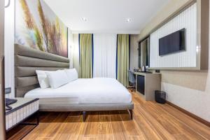 a hotel room with a bed and a television at Dem Premium Hotel - Round Trip Airport Service - Istanbul International Airport in Arnavutköy