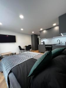 1 Schlafzimmer mit einem großen Bett und einer Küche in der Unterkunft Hygge Apartments in Druskininkai