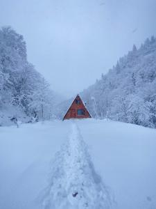 Το Long River Mountain House - Bungalow τον χειμώνα