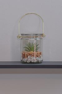 a glass jar with a plant in it on a shelf at Grand Studio Le Modern Jungle - Résidence Les Jacquiers in Saint-Denis