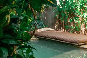 a bed is hanging from a tree with leaves at Eco Xata in Santa Verónica