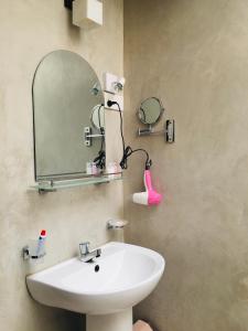 a bathroom with a sink and a mirror at Transit cabin in Seeduwa