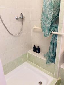 Koupelna v ubytování Apartmán v zahradě Malšovice