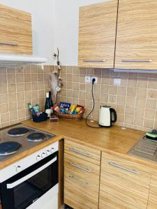 Kuchyň nebo kuchyňský kout v ubytování Apartmán v zahradě Malšovice