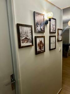 Fotografie z fotogalerie ubytování Studio « Le petit montagnard » v destinaci Malbuisson