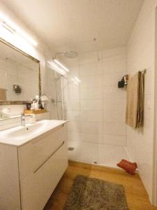 Ein Badezimmer in der Unterkunft Exclusive Unterkunft in 15min bis Hallenstadion - Zürich City - Flughafen ZH