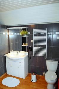 ein Badezimmer mit einem weißen Waschbecken und einer Toilette in der Unterkunft Bed en Breakfast le freyr in Dinant