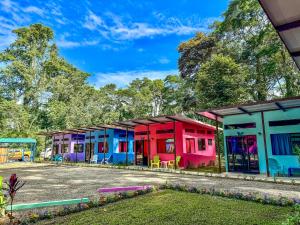 una fila de casas coloridas con árboles en el fondo en Caribbean Blue Morpho Casitas, en Talamanca