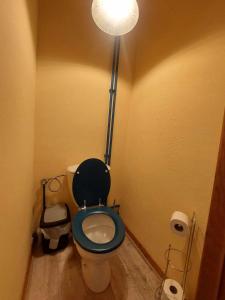 La salle de bains est pourvue de toilettes avec un siège bleu et une lampe. dans l'établissement Le Vieux La Roche, à La-Roche-en-Ardenne