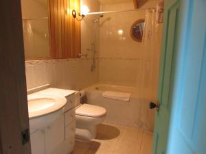y baño con aseo, lavabo y ducha. en Lodge Cumbres de Chiloe, en Castro