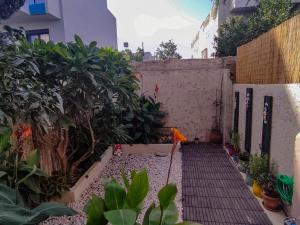 un pequeño jardín con una valla y plantas en Annie's Home, en Heraklion