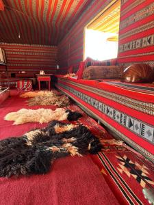 una camera con un letto e un tappeto sul pavimento di Mars Stars Camp a Wadi Rum